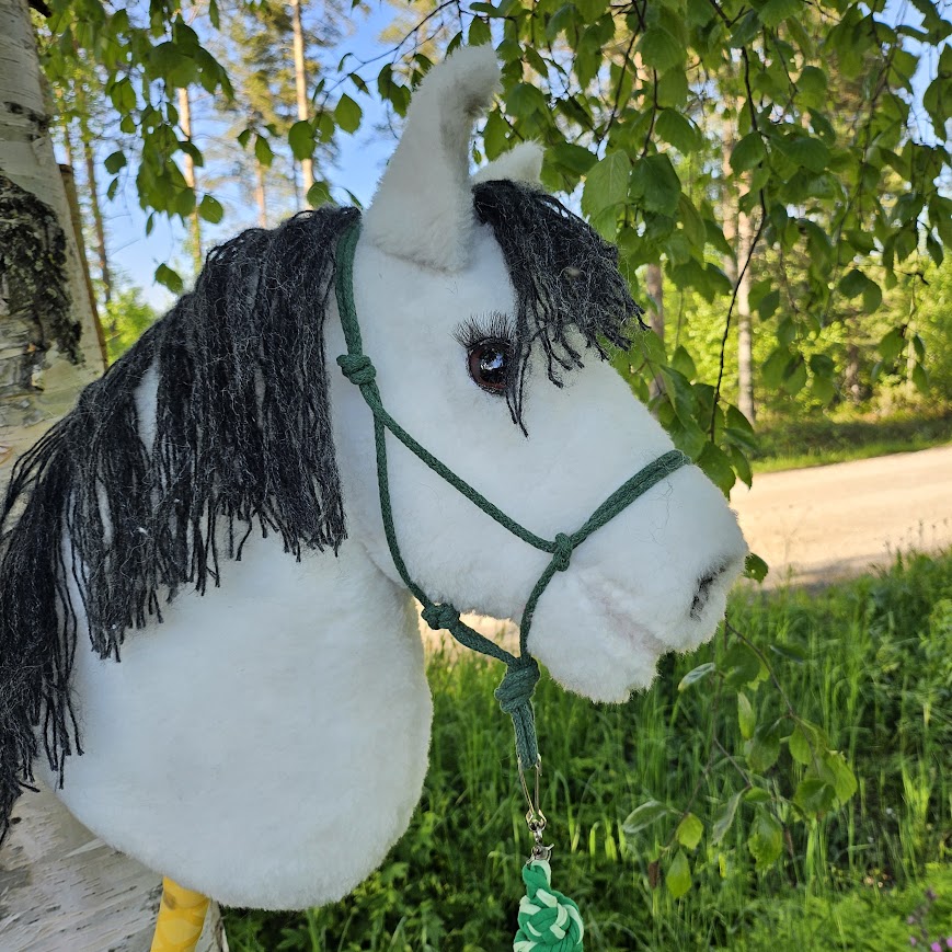 Lämminverinen Deluxe