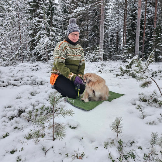Koiran makuualusta