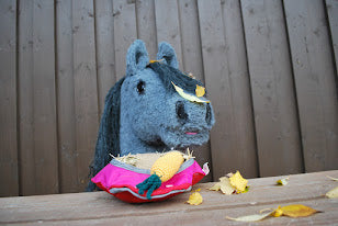 Kepparin porkkanat