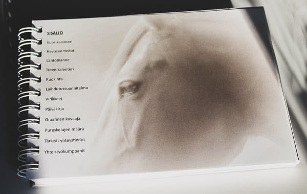 Pullukan Päiväkirja