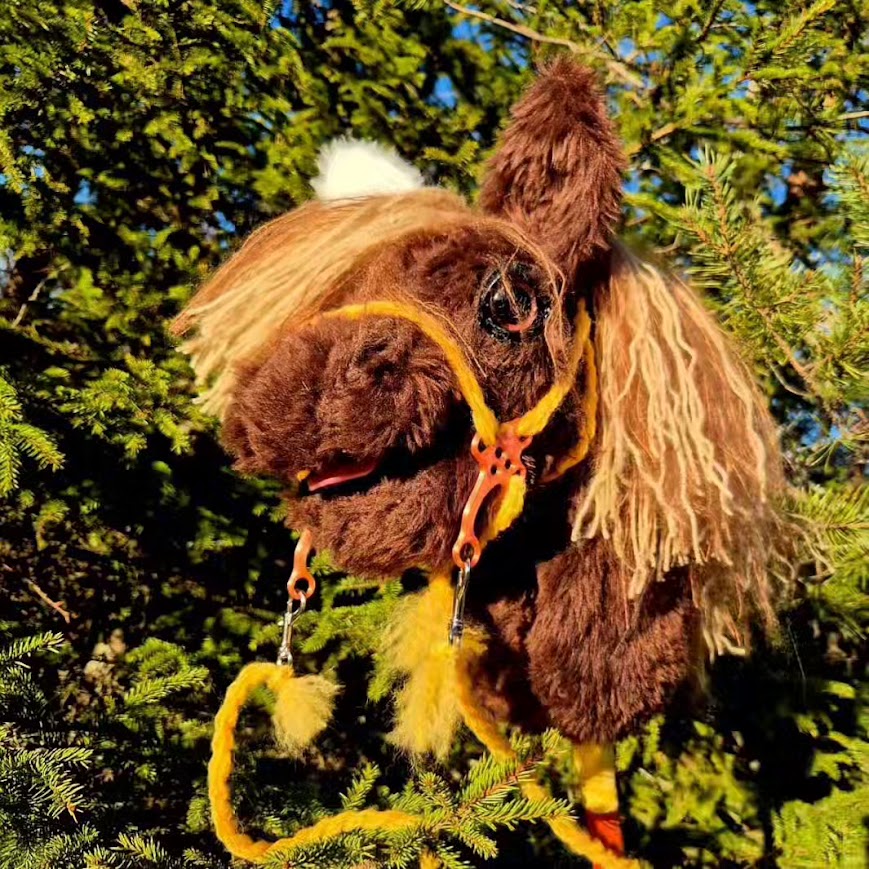 Poni Deluxe keppihevonen