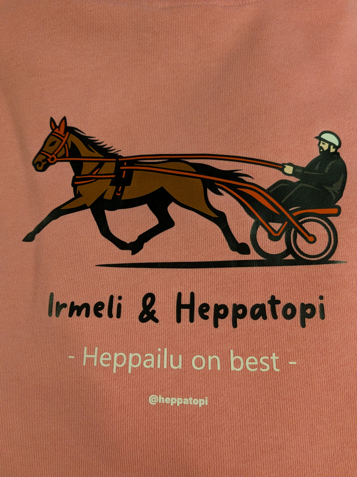 Huppari Irmeli & Heppatopi ravikuva