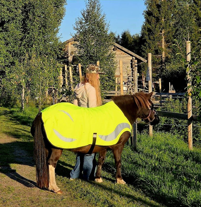 Kävelytysloimi hevoselle