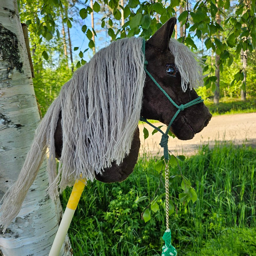 Lämminverinen Deluxe — kuva 5