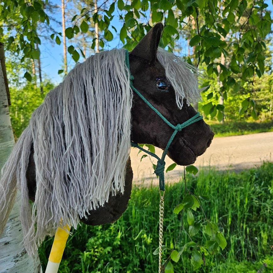 Lämminverinen Deluxe — kuva 6